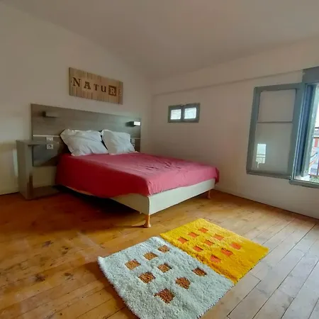 L'escale De Compostelle, Centre A 5 Minutes Du Canal * Moissac