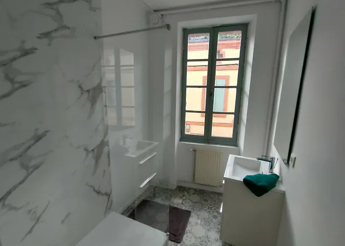 L'escale De Compostelle, Centre A 5 Minutes Du Canal * Moissac