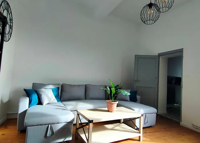 L'escale De Compostelle, Centre A 5 Minutes Du Canal Moissac