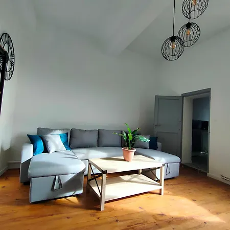 L'escale De Compostelle, Centre A 5 Minutes Du Canal Moissac