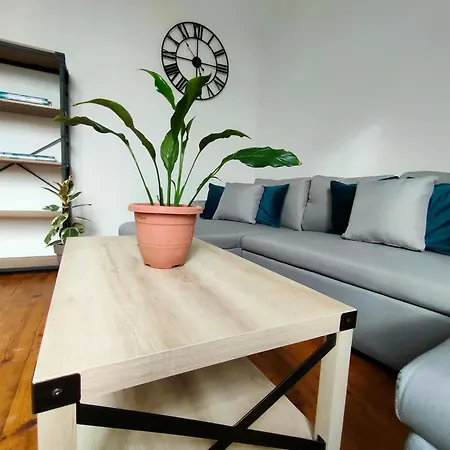 L'escale De Compostelle, Centre A 5 Minutes Du Canal * Moissac